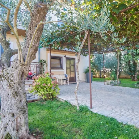 Buric 267 Gostinjska kuća